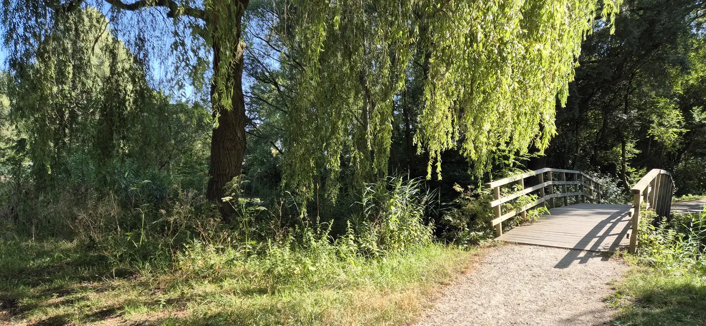 Houten brug tussen bomen in de natuur, symbool van verbinding en overgang